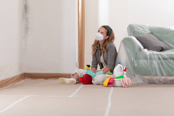 Reliable Mold Removal contractor in Forest Hill, MD by 24 Hour Mold Removal